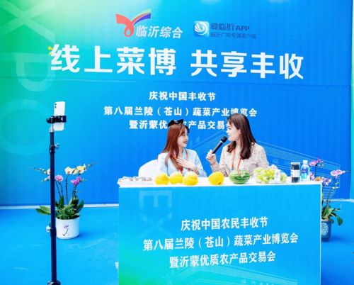 第八屆蘭陵（蒼山）蔬菜產(chǎn)業(yè)博覽會暨2020年中國·臨沂農(nóng)民豐收節(jié)盛大開幕，鴻雀信息科技助陣數(shù)字化新農(nóng)業(yè)